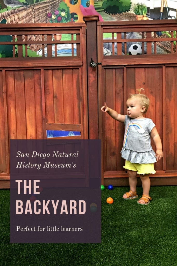 The Backyard at The Nat – Perfect Exhibit for Young Explorers